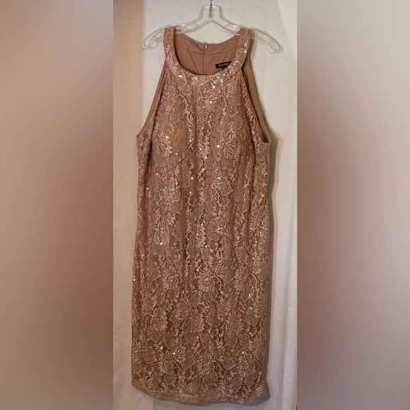 Roz & Ali Dresses & Skirts - Roz & Ali Blush Lace Sequin Midi Dress